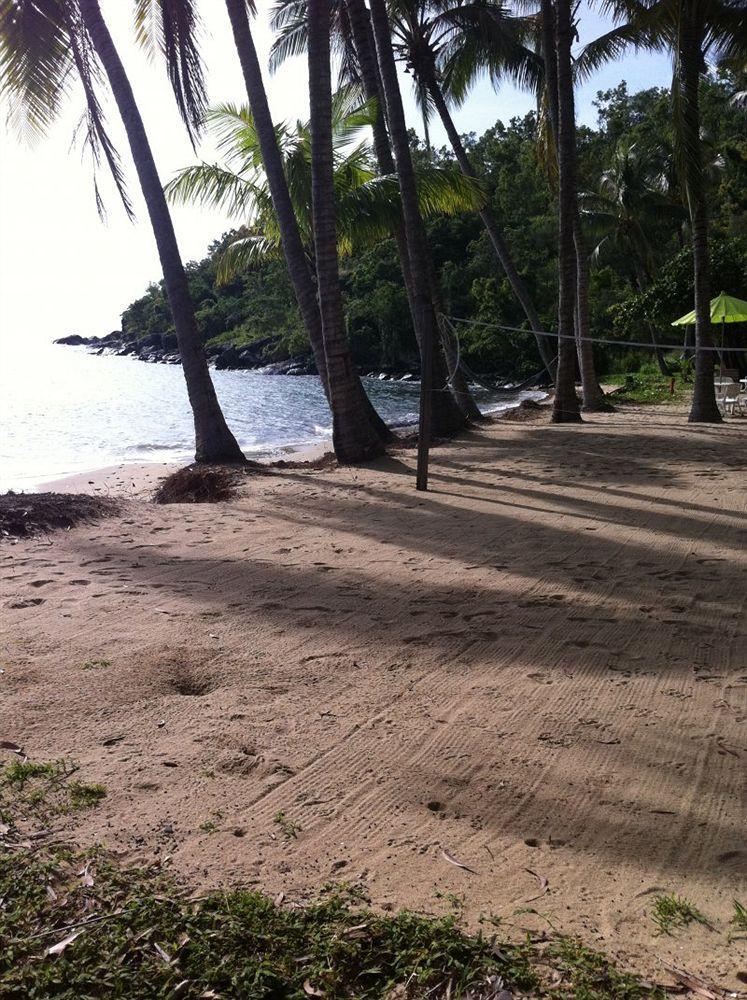 Turtle Cove Beach Resort - Adults Only Lgbtqia & Allies Wangetti 외부 사진